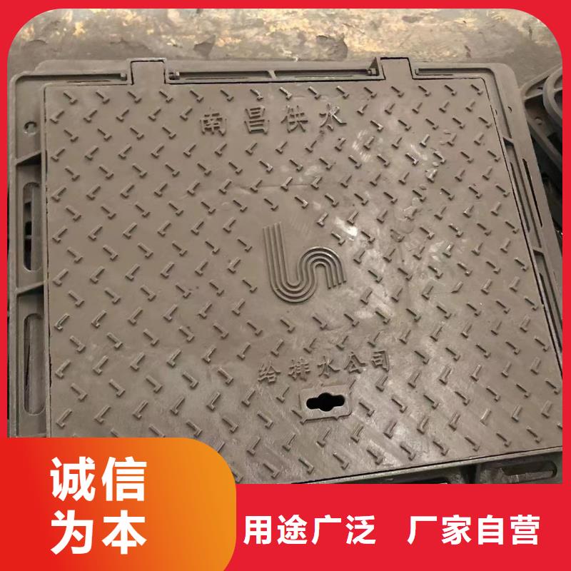 球墨铸铁单片实力老厂