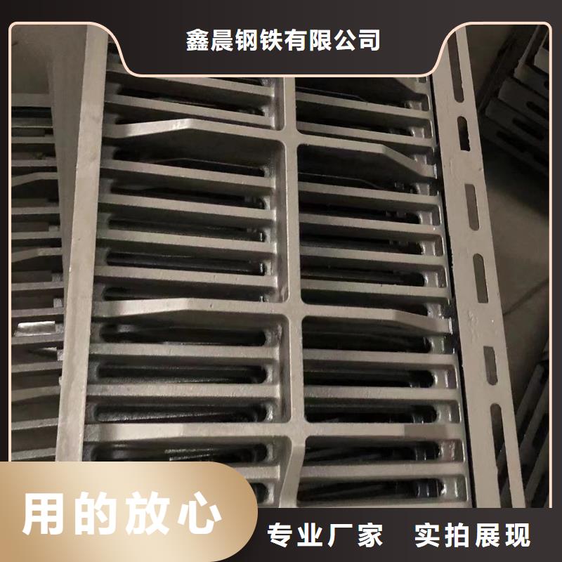 球墨铸铁单片质优价廉
