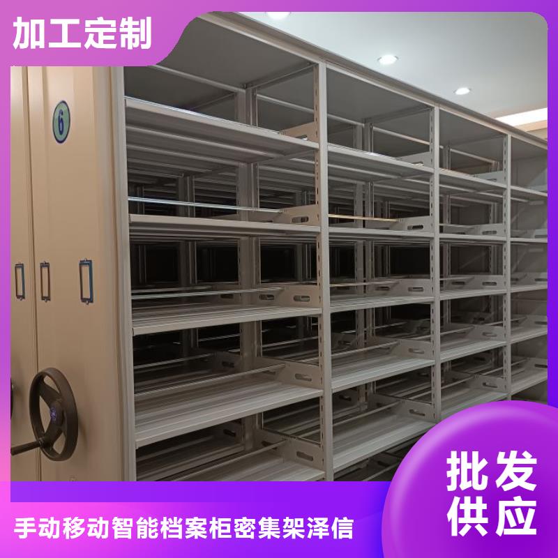 别拘一格【泽信】项目档案保管密集架