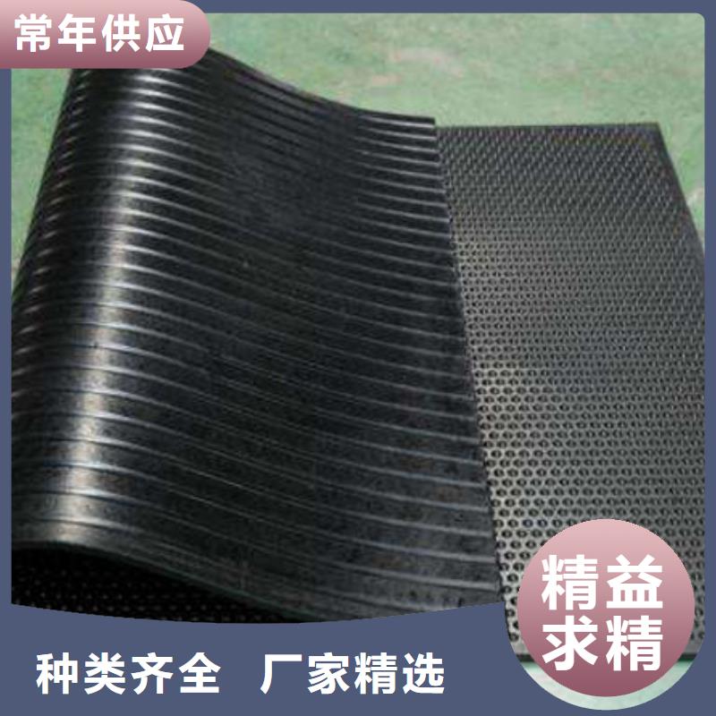 支持定制的橡胶垫板基地