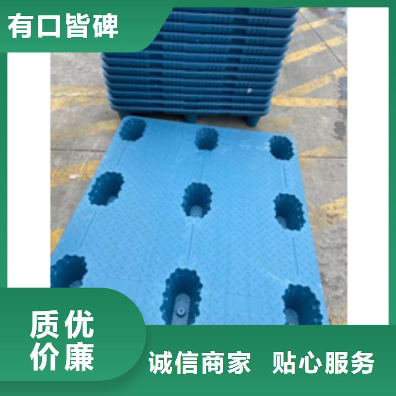 杀菌锅塑料隔板工厂直销