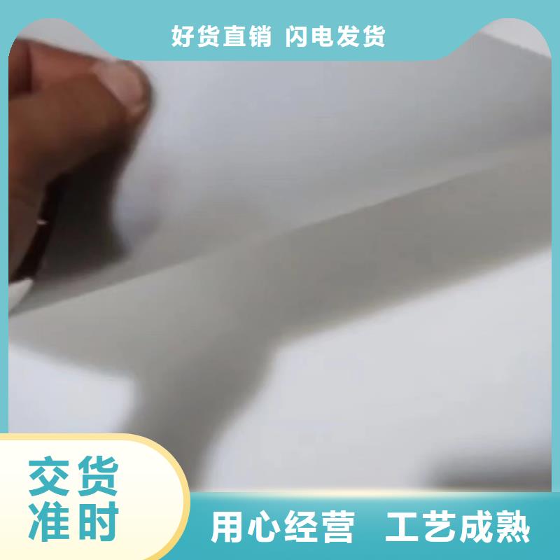 叉车推拉器塑料滑板尼龙轮N年大品牌