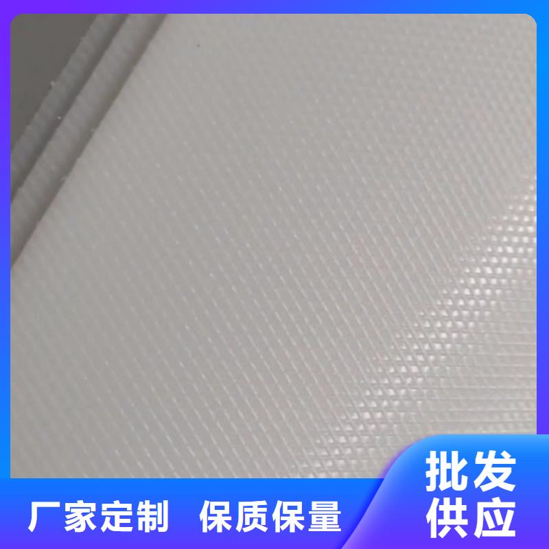 叉车推拉器塑料滑板尼龙轮N年大品牌