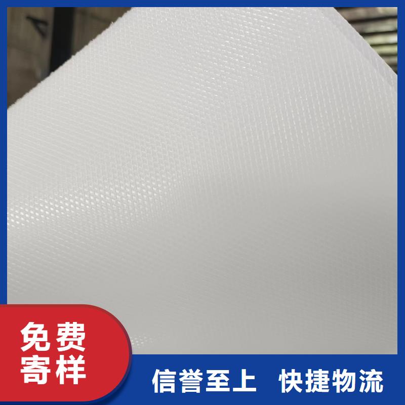 叉车推拉器塑料滑板尼龙轮N年大品牌