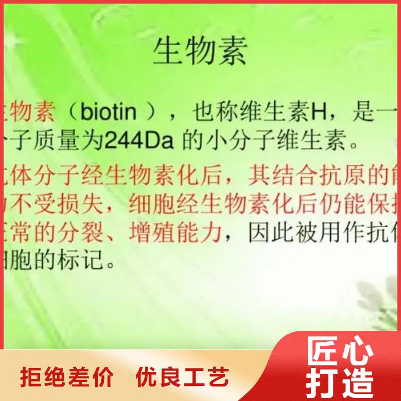 新和维生素H用途
