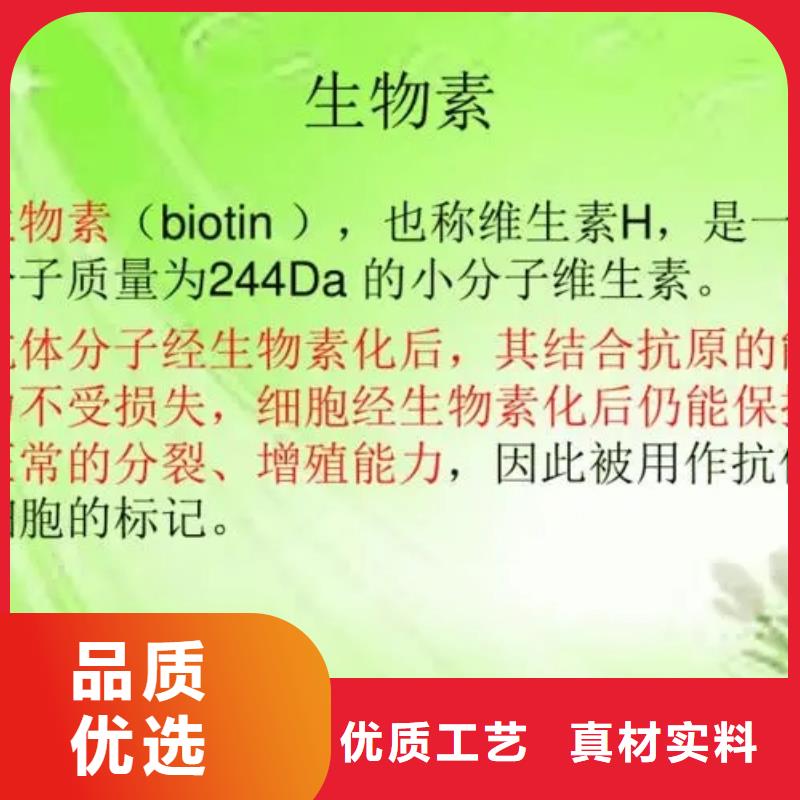 新和水溶性维生素批发