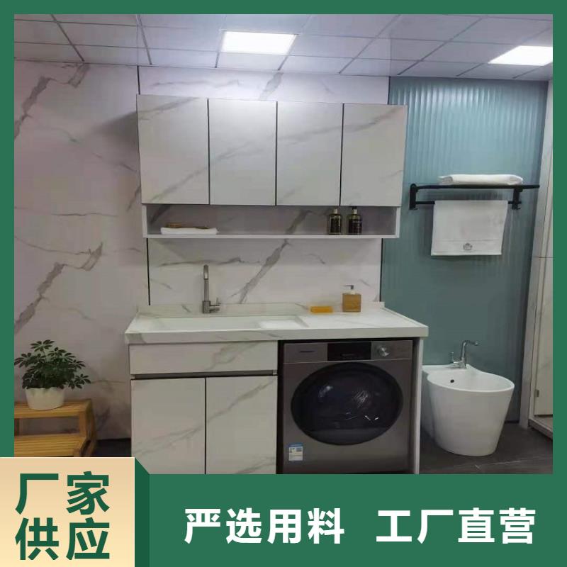 浴室柜-洗衣柜的简单介绍