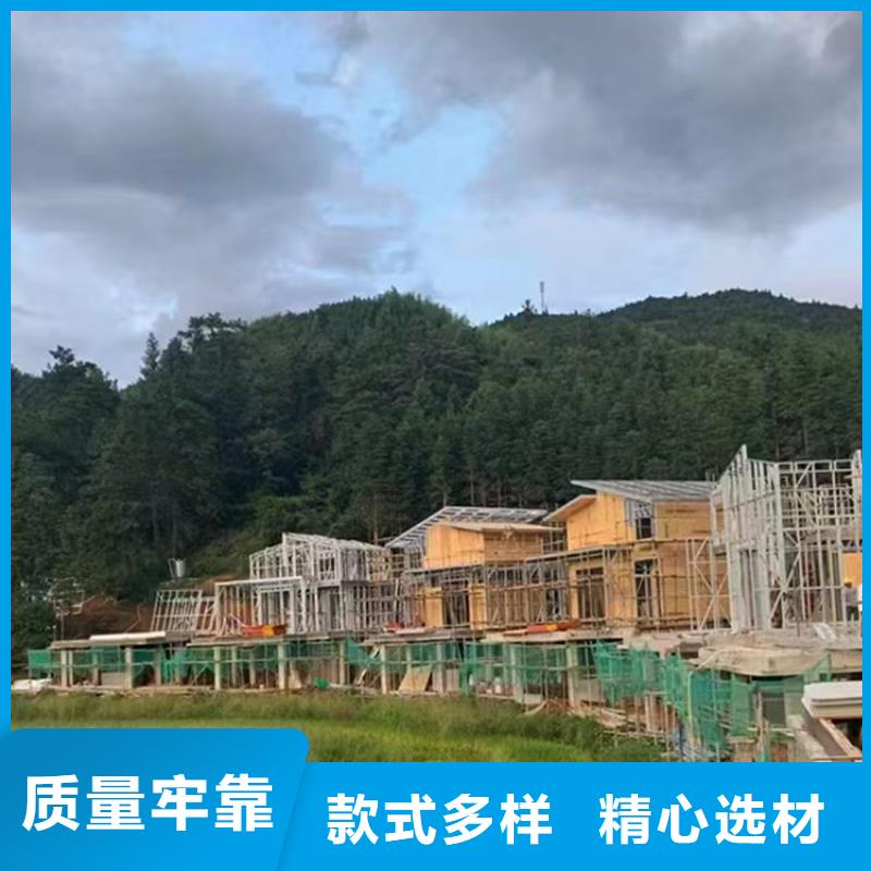 枞阳现代别自建别墅一层