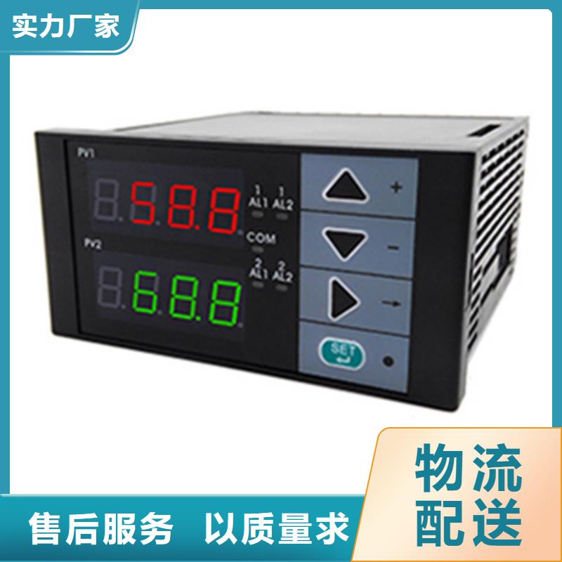 智能显示仪WP-C801-02-09-N参数详情