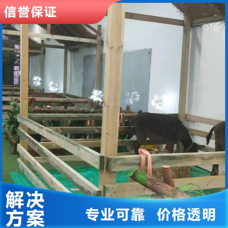 萌宠动物展出租