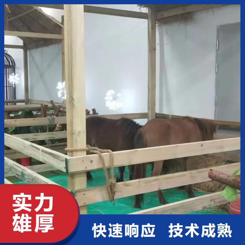 租赁马戏团表演暖场