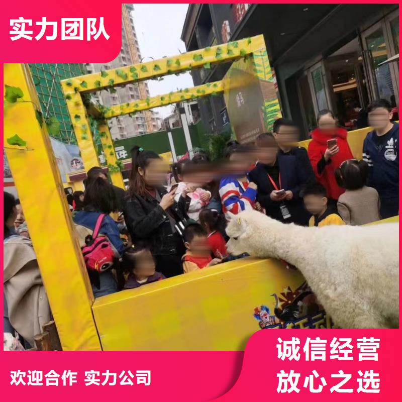 大飞轮表演出租免费策划