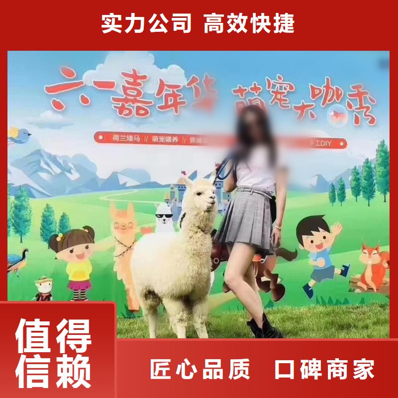 【马戏团/羊驼】【美人鱼出租演出】技术好