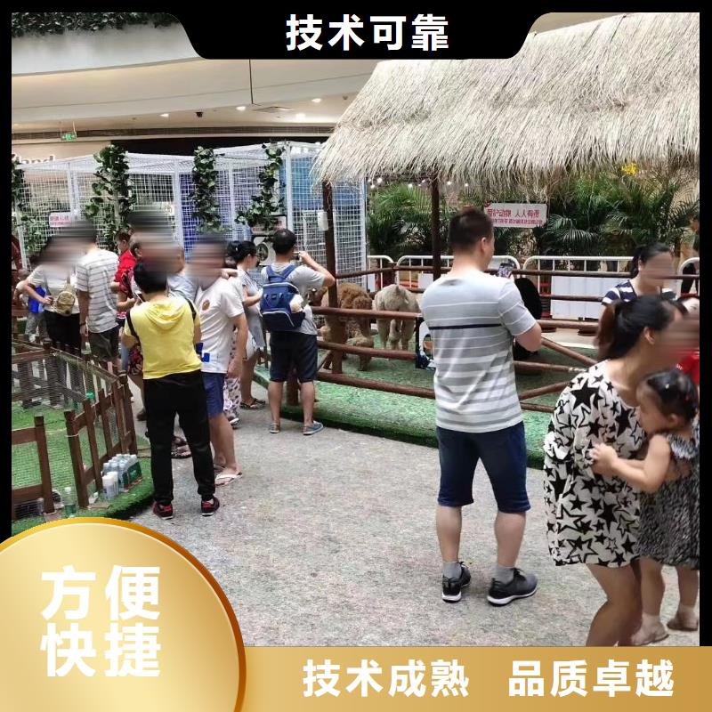 羊驼出租节日活动