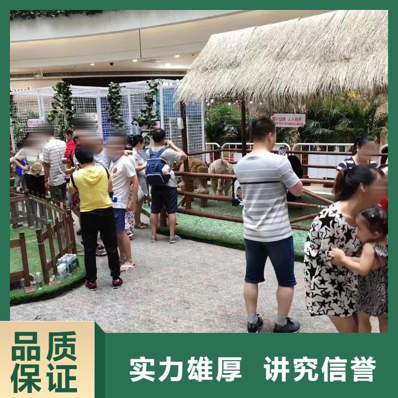 动物表演出租联系电话