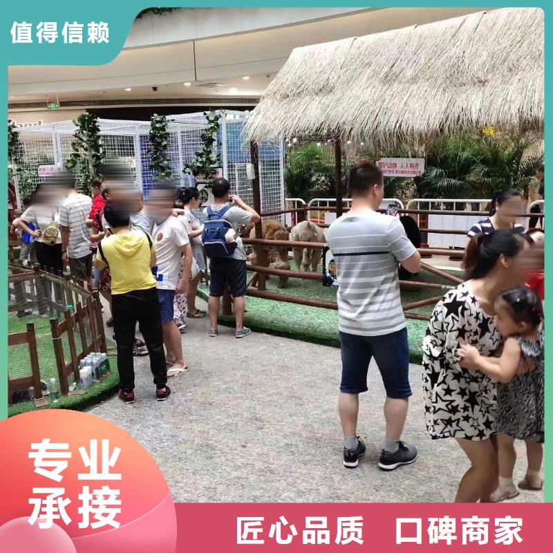 杂技表演出租