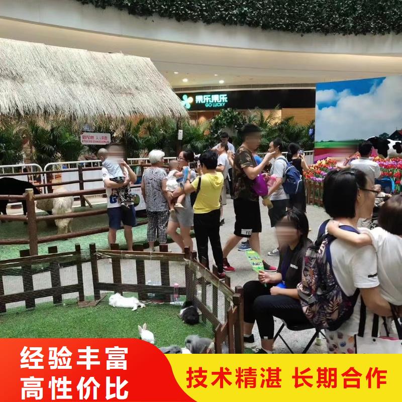 租赁羊驼资源丰富
