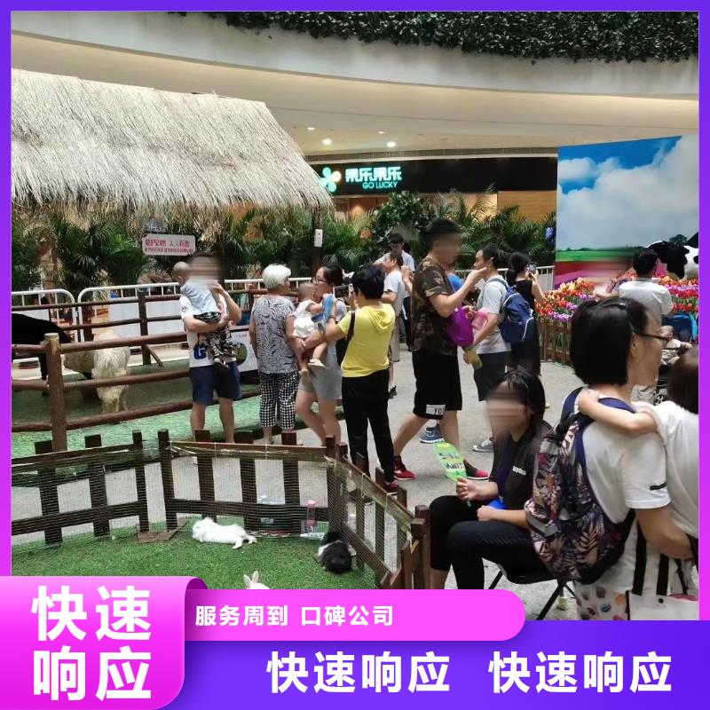哪有出租动物的