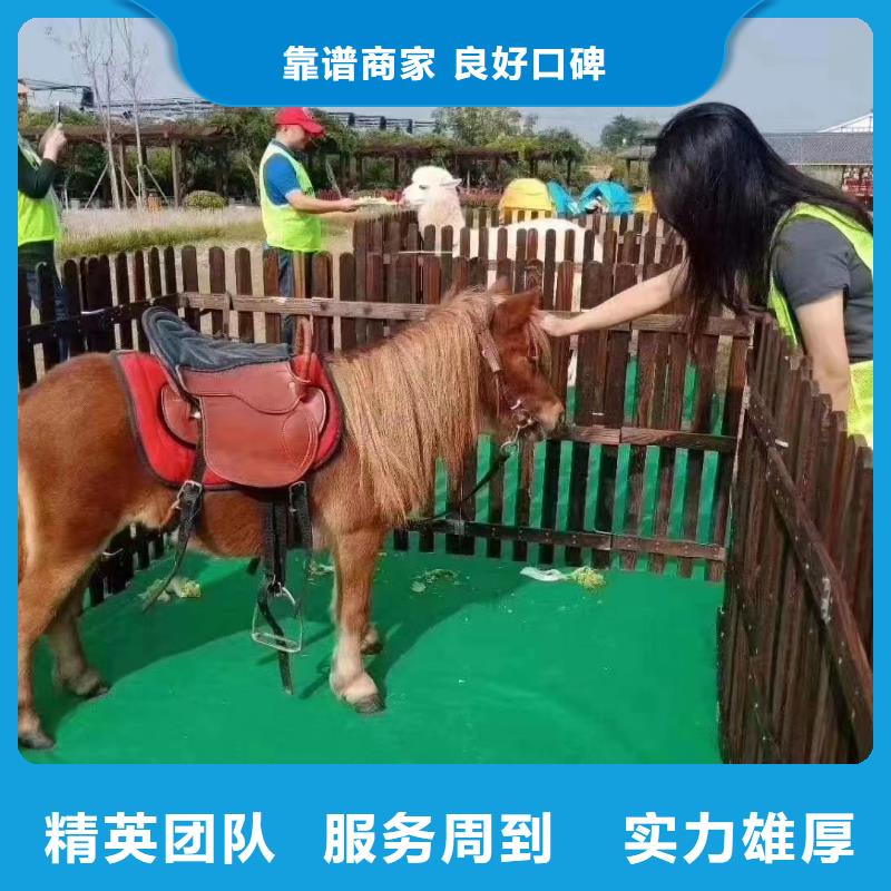 动物表演出租周边