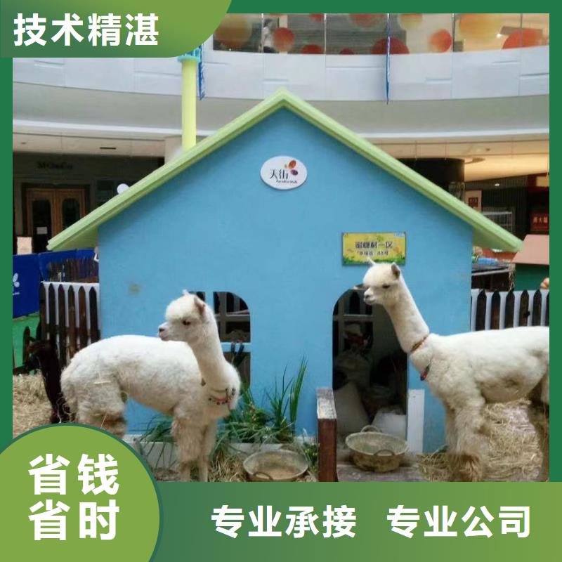 周边马戏团表演租赁活动方案