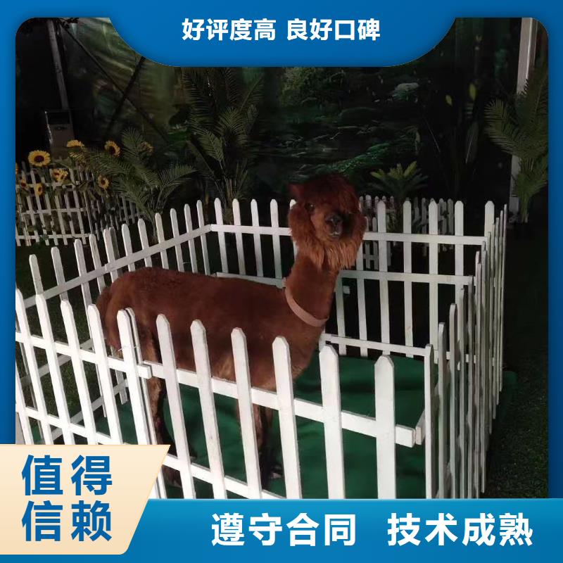 环球飞车表演租赁联系我们