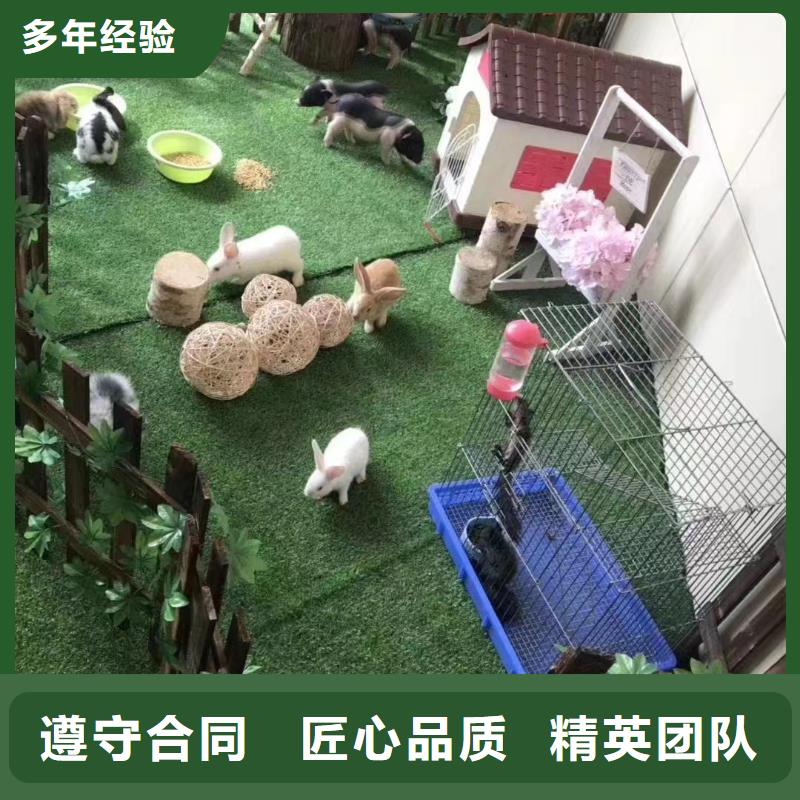 羊驼出租联系电话