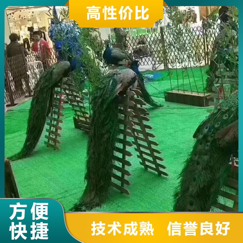马戏团表演租赁图片
