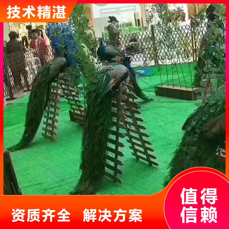 租赁马戏团表演暖场氛围