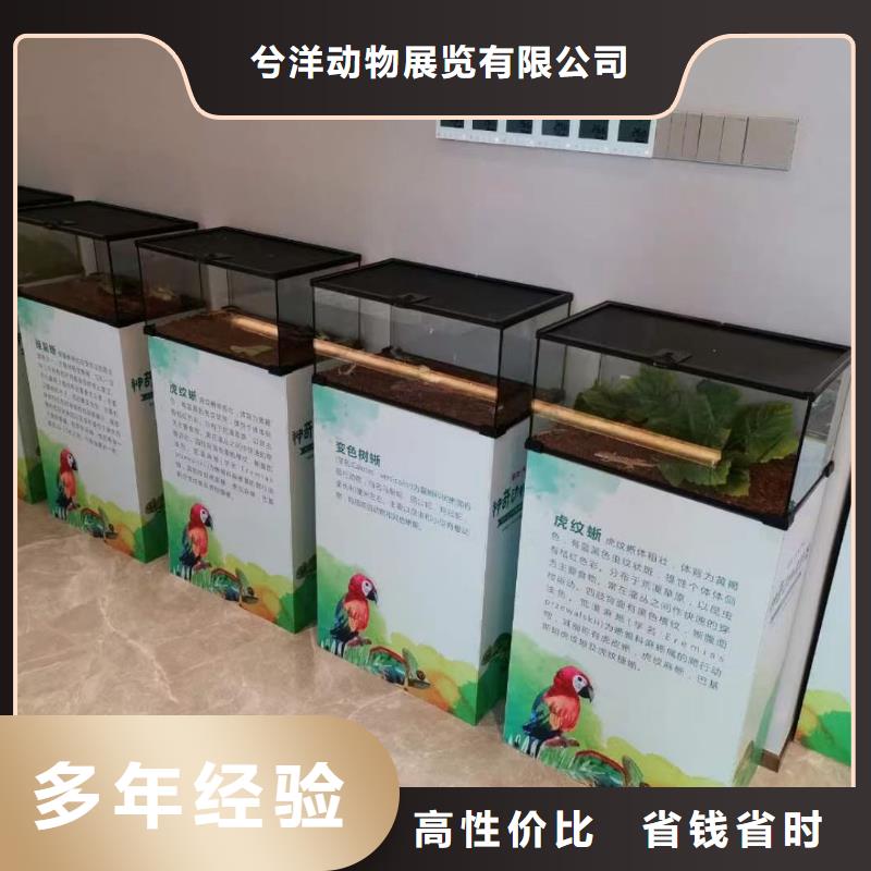 马戏团表演租赁图片