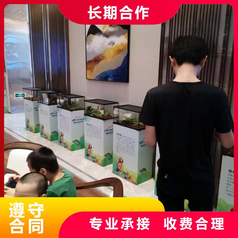 租赁马戏团表演服务全国