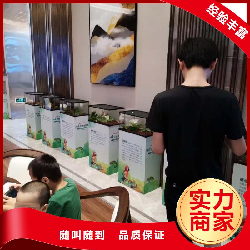 动物表演出租联系方式