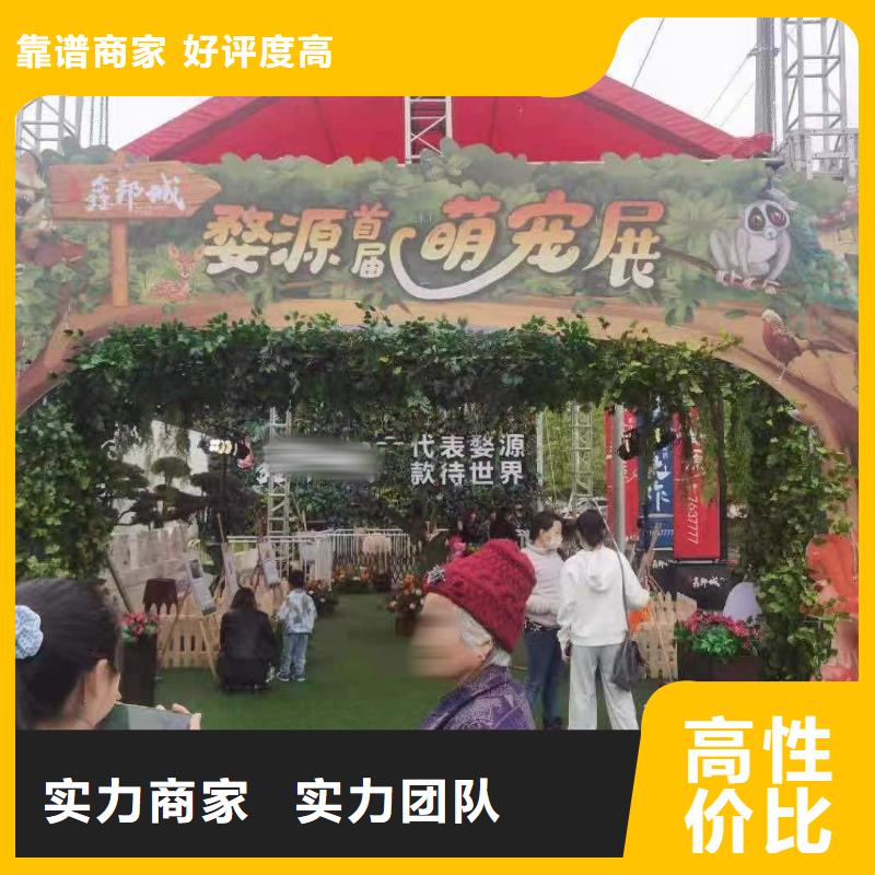 哪有出租马戏团表演的值得信赖的厂家