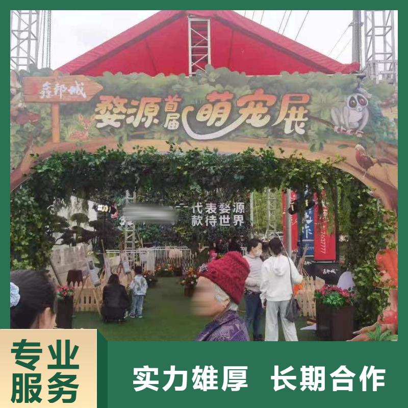 哪有出租羊驼的暖场活动