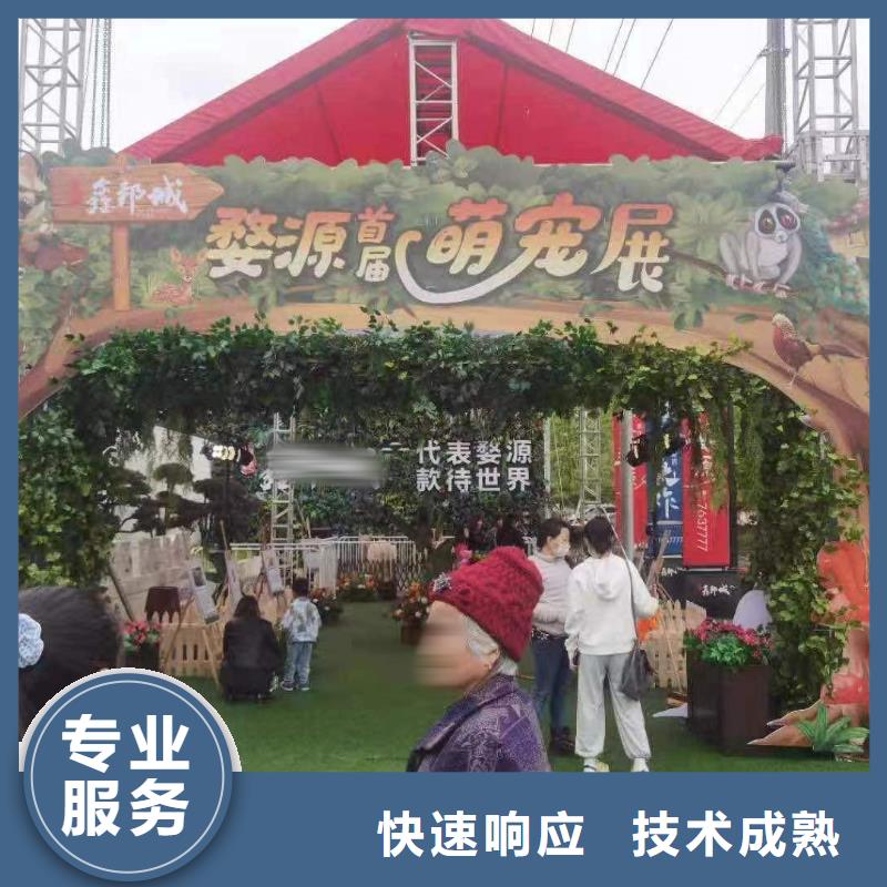 大飞轮表演租赁庆典活动