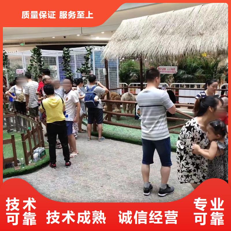 哪有马戏团表演租赁活动方案