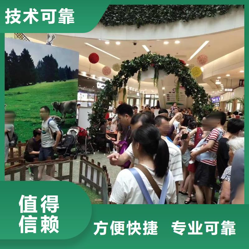 动物租赁活动案例