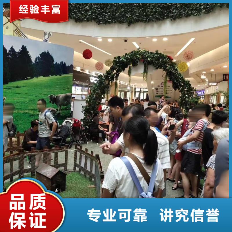 【马戏团/羊驼】【美人鱼出租演出】技术好