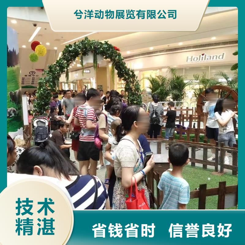 萌宠动物展出租一手资源