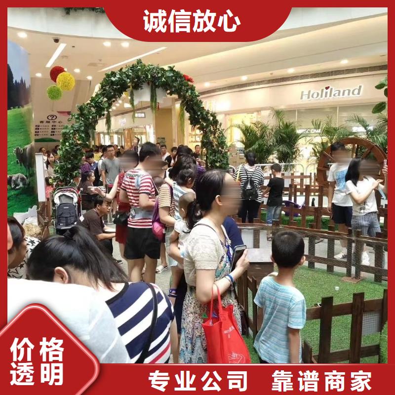 哪有出租马戏团表演的服务全国