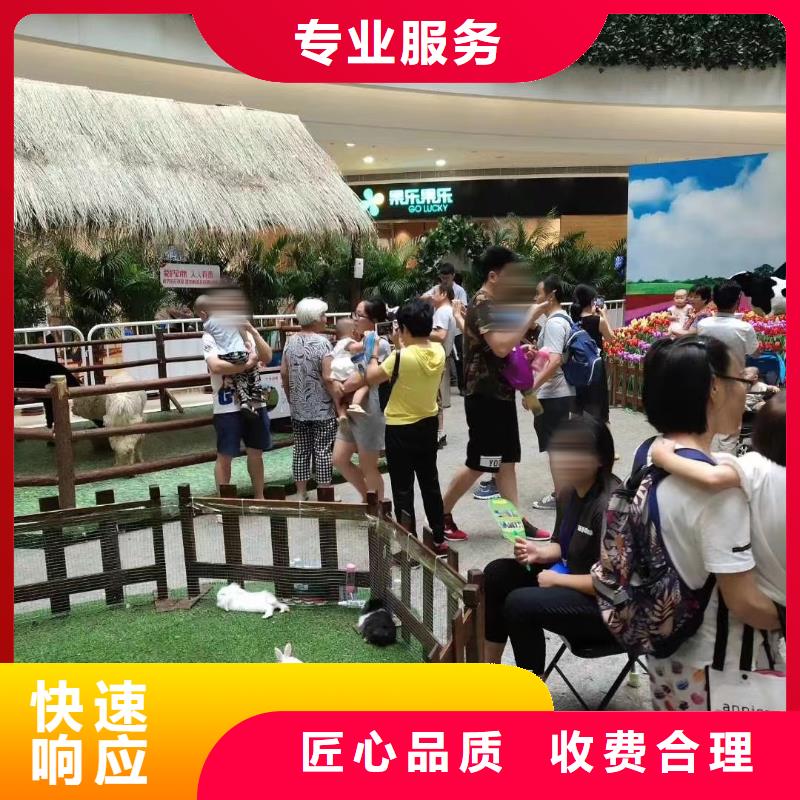 动物表演出租联系方式