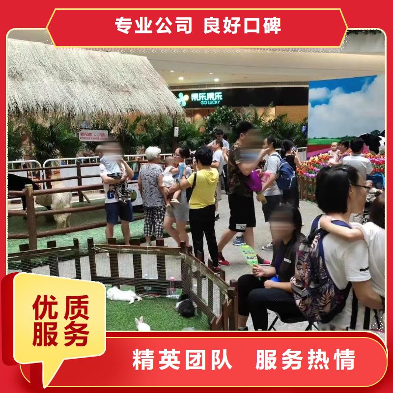 哪有出租马戏团的正规公司