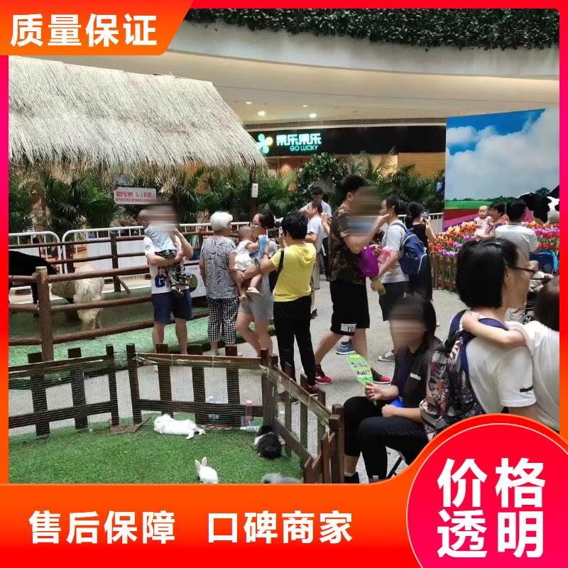 哪有出租马戏团表演的公司