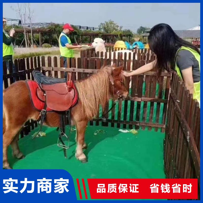 哪有出租萌宠展的点击图片