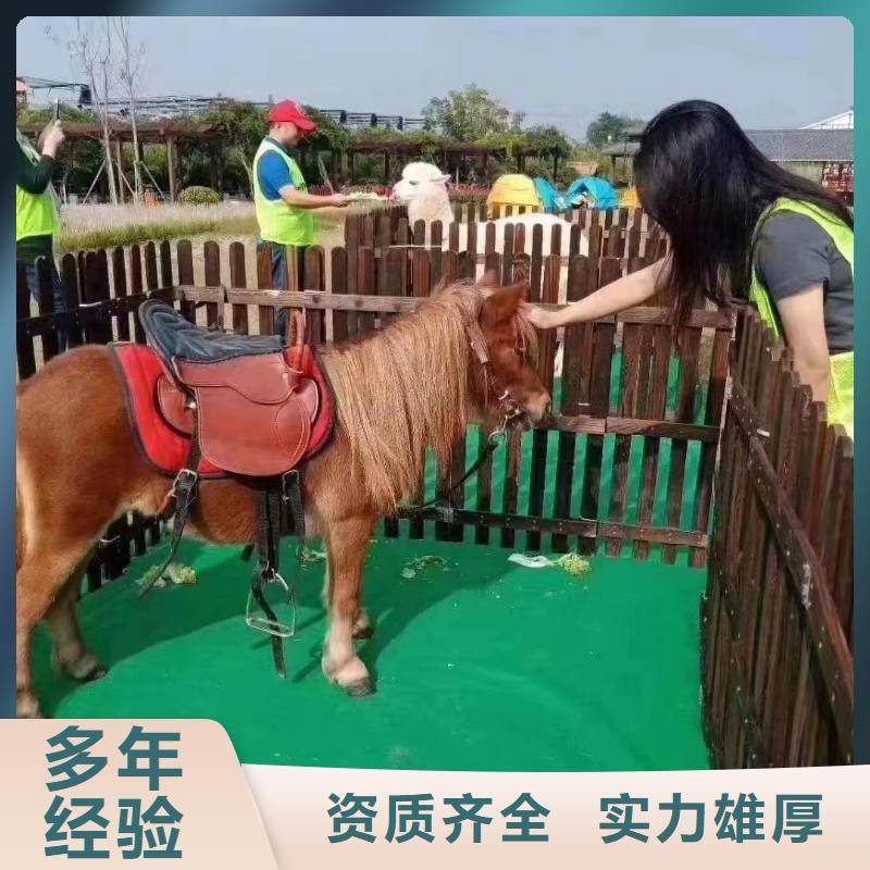 萌宠动物展出租一手资源