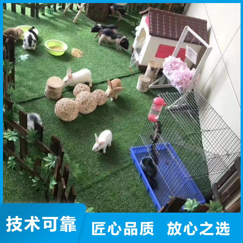 马戏团表演租赁优选品牌