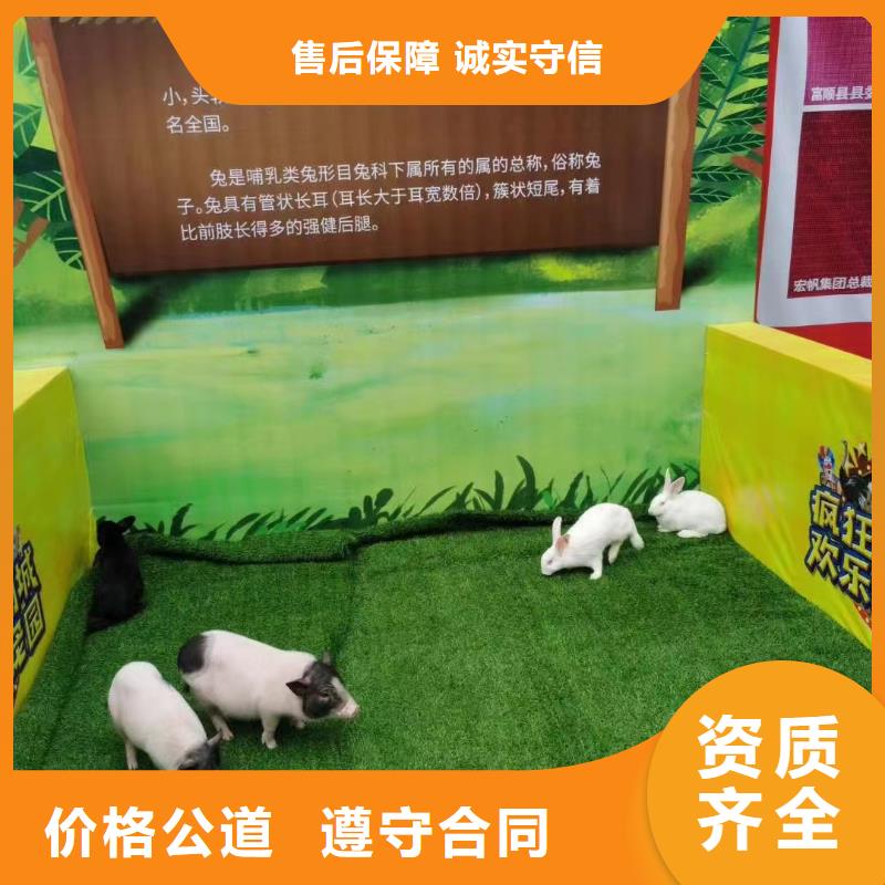 哪有出租马戏团表演的点击图片