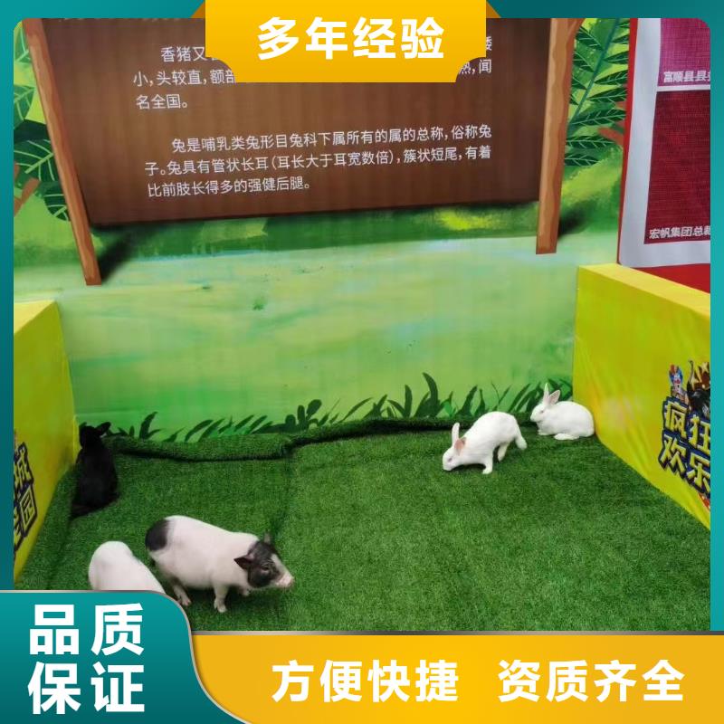 萌宠动物出租点击