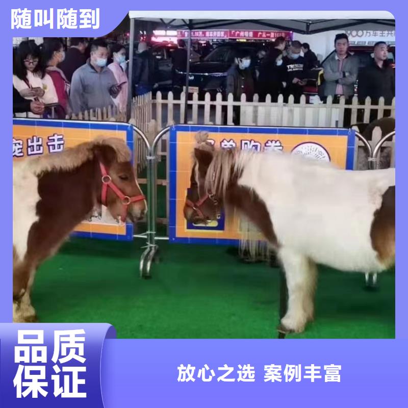 马戏团出租联系方式
