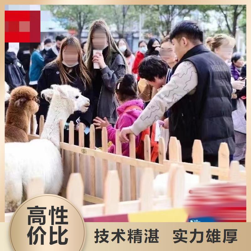 萌宠动物展出租一手资源