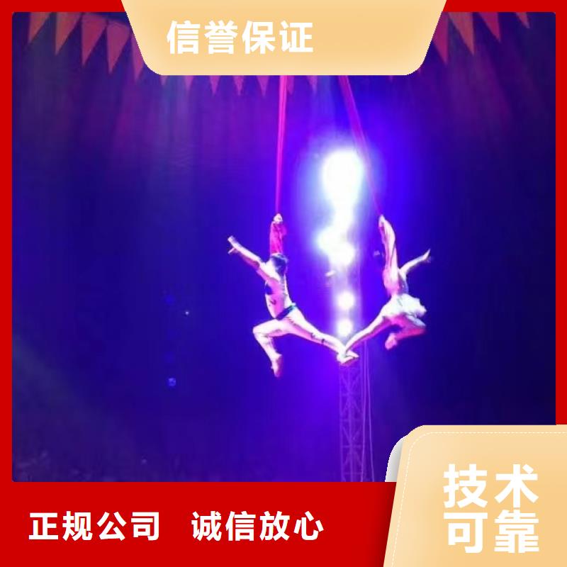 哪里有出租羊驼的暖场活动